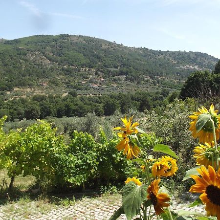 Quinta Do Pina Διαμέρισμα Γκουάρντα Εξωτερικό φωτογραφία