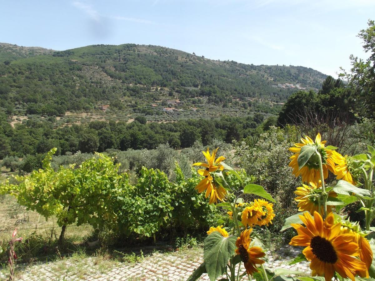 Quinta Do Pina Διαμέρισμα Γκουάρντα Εξωτερικό φωτογραφία