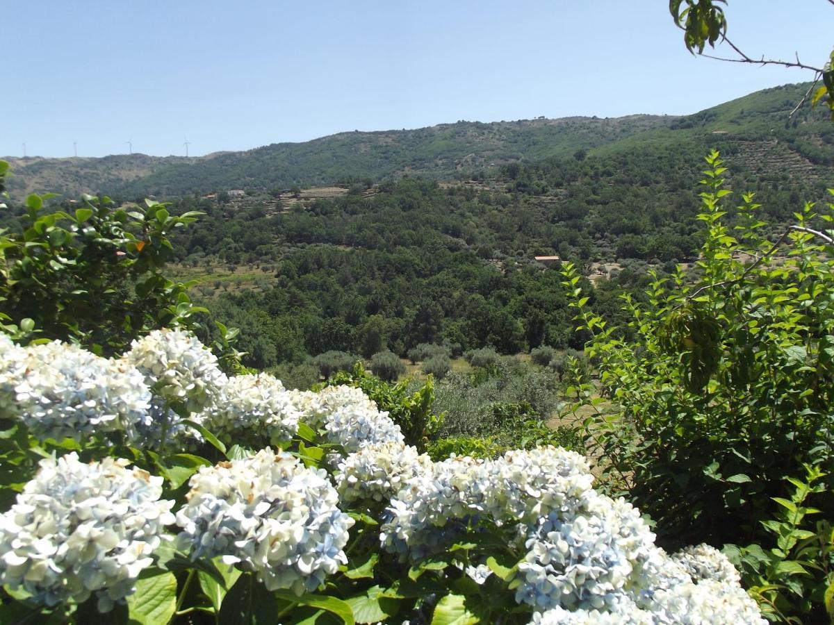 Quinta Do Pina Διαμέρισμα Γκουάρντα Εξωτερικό φωτογραφία