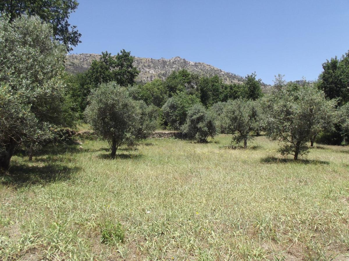 Quinta Do Pina Διαμέρισμα Γκουάρντα Εξωτερικό φωτογραφία