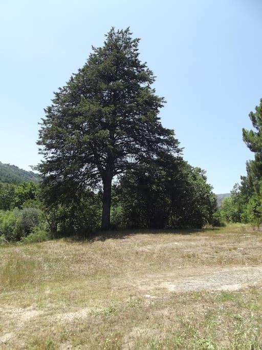 Quinta Do Pina Διαμέρισμα Γκουάρντα Εξωτερικό φωτογραφία