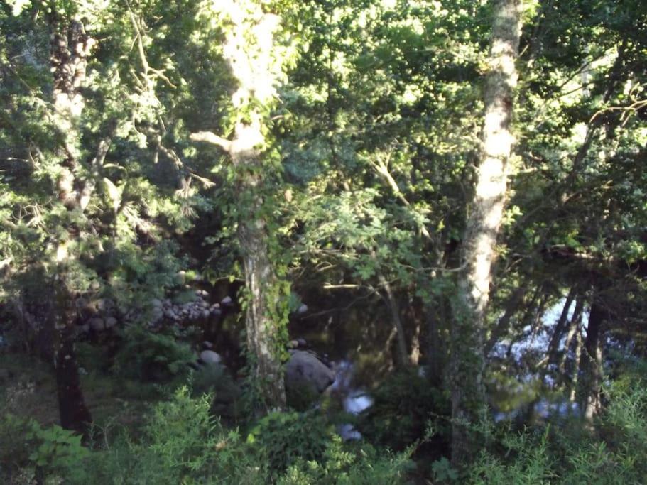 Quinta Do Pina Διαμέρισμα Γκουάρντα Εξωτερικό φωτογραφία