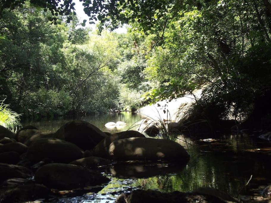 Quinta Do Pina Διαμέρισμα Γκουάρντα Εξωτερικό φωτογραφία