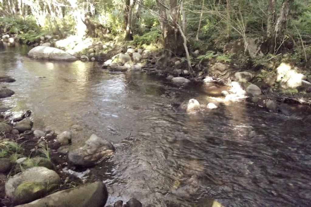 Quinta Do Pina Διαμέρισμα Γκουάρντα Εξωτερικό φωτογραφία