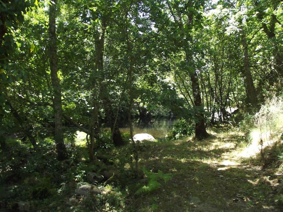 Quinta Do Pina Διαμέρισμα Γκουάρντα Εξωτερικό φωτογραφία