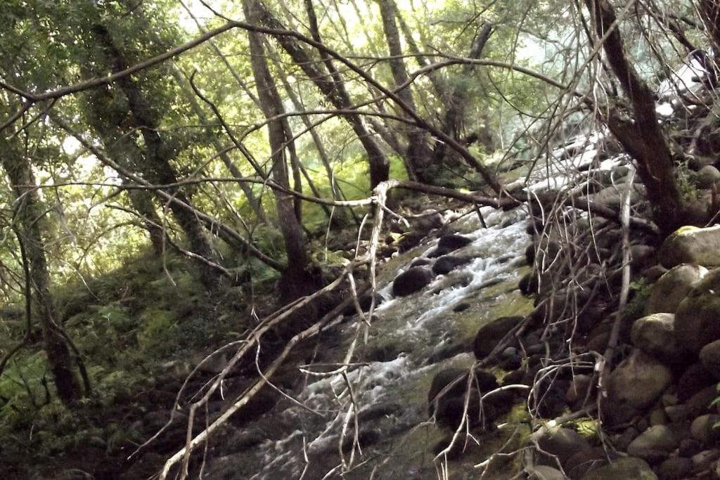 Quinta Do Pina Διαμέρισμα Γκουάρντα Εξωτερικό φωτογραφία