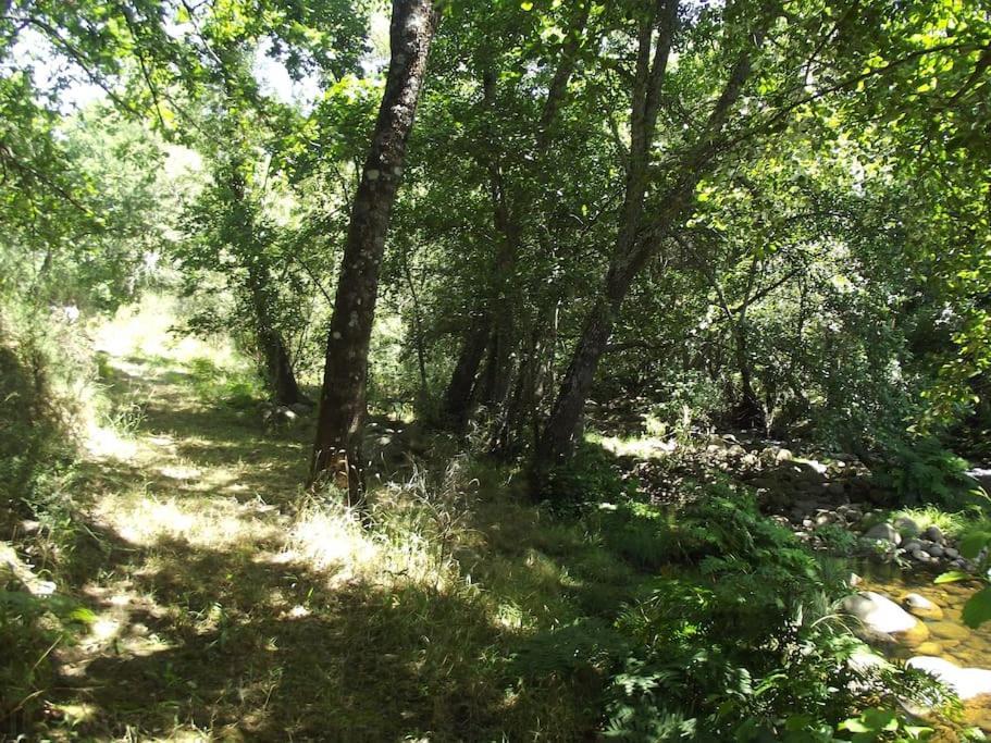 Quinta Do Pina Διαμέρισμα Γκουάρντα Εξωτερικό φωτογραφία