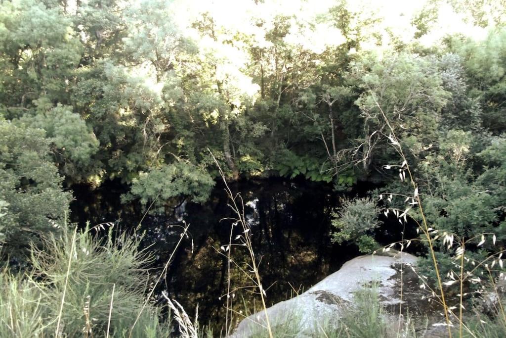 Quinta Do Pina Διαμέρισμα Γκουάρντα Εξωτερικό φωτογραφία