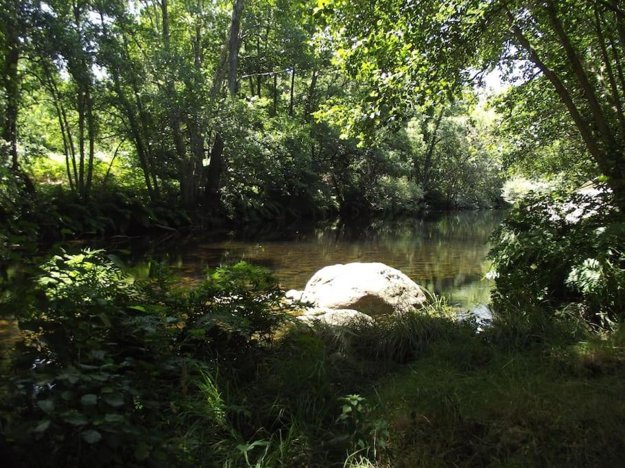 Quinta Do Pina Διαμέρισμα Γκουάρντα Εξωτερικό φωτογραφία